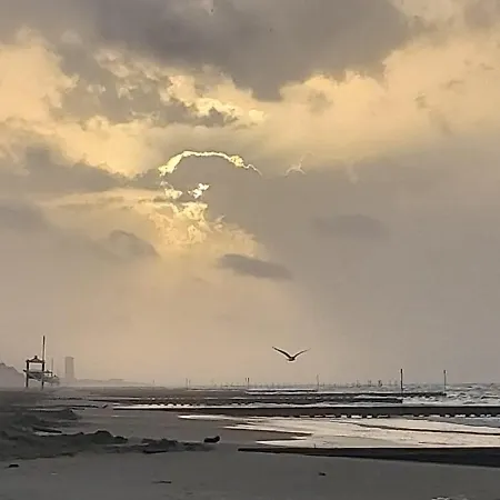 Hotel Palm Lido di Jesolo