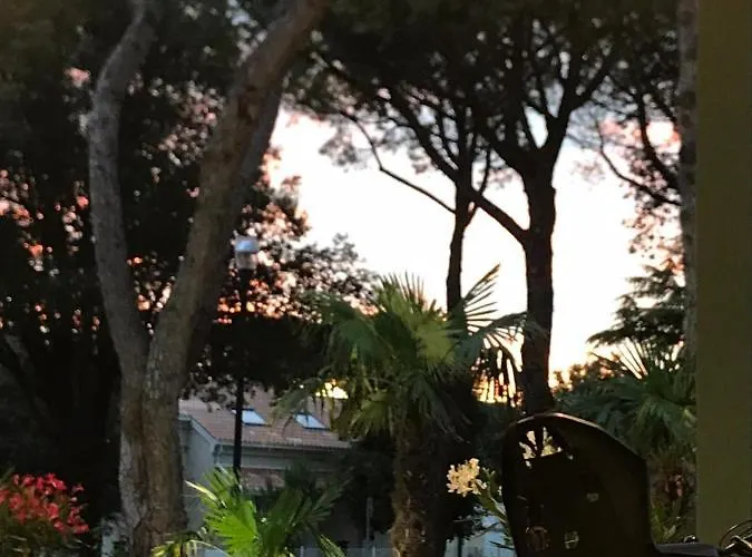 Hotel Palm Lido di Jesolo