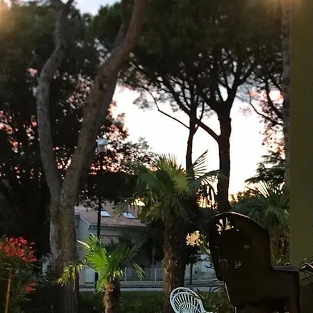 فندق Palm ليدو دي يسولو