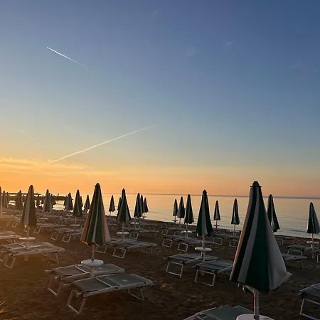Palm Hotel 3*