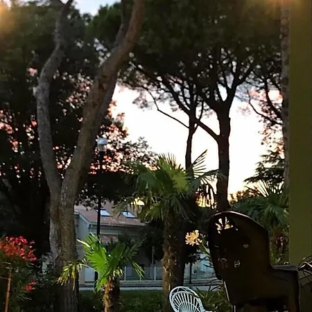 Hotel Palm