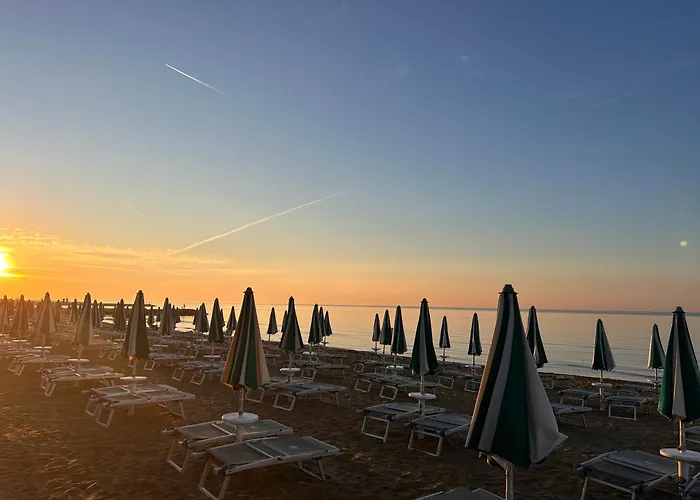 Palm Hotel 3*