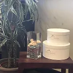 Hotel Palm